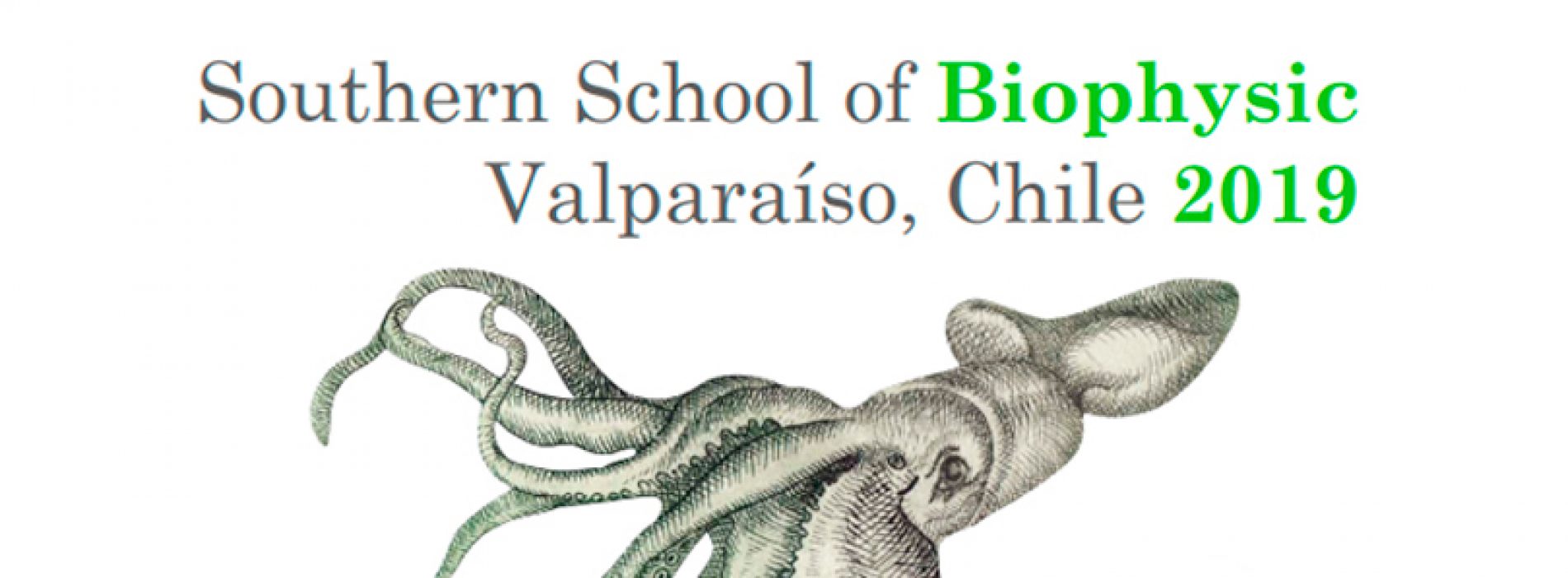 Southern School of Biophysic Valparaíso, Chile 2019