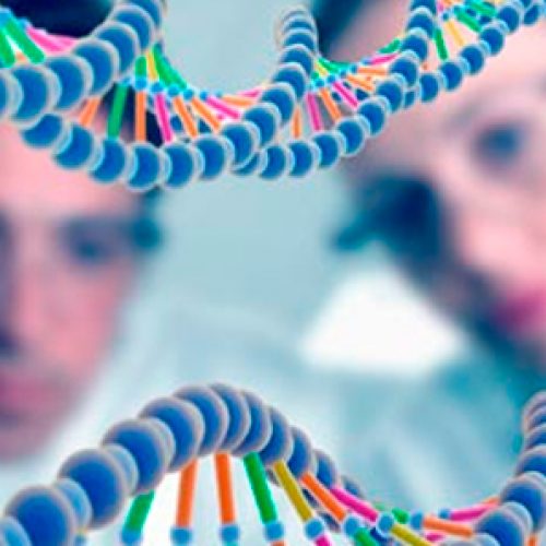 Master's degree in genetics - application academic year 2019