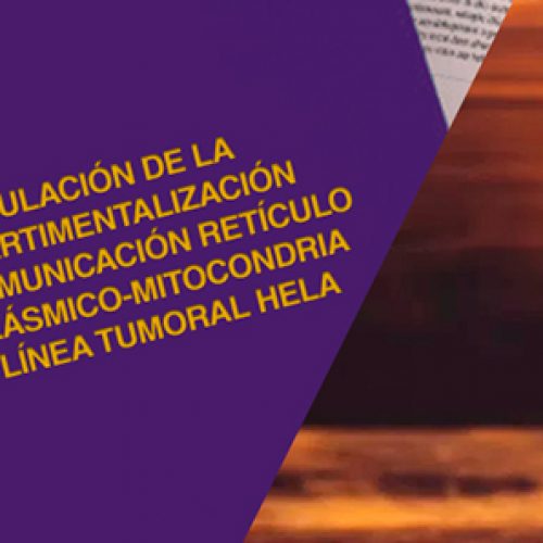 Tesis doctorado Roberto Bravo 2015, revisar en historia