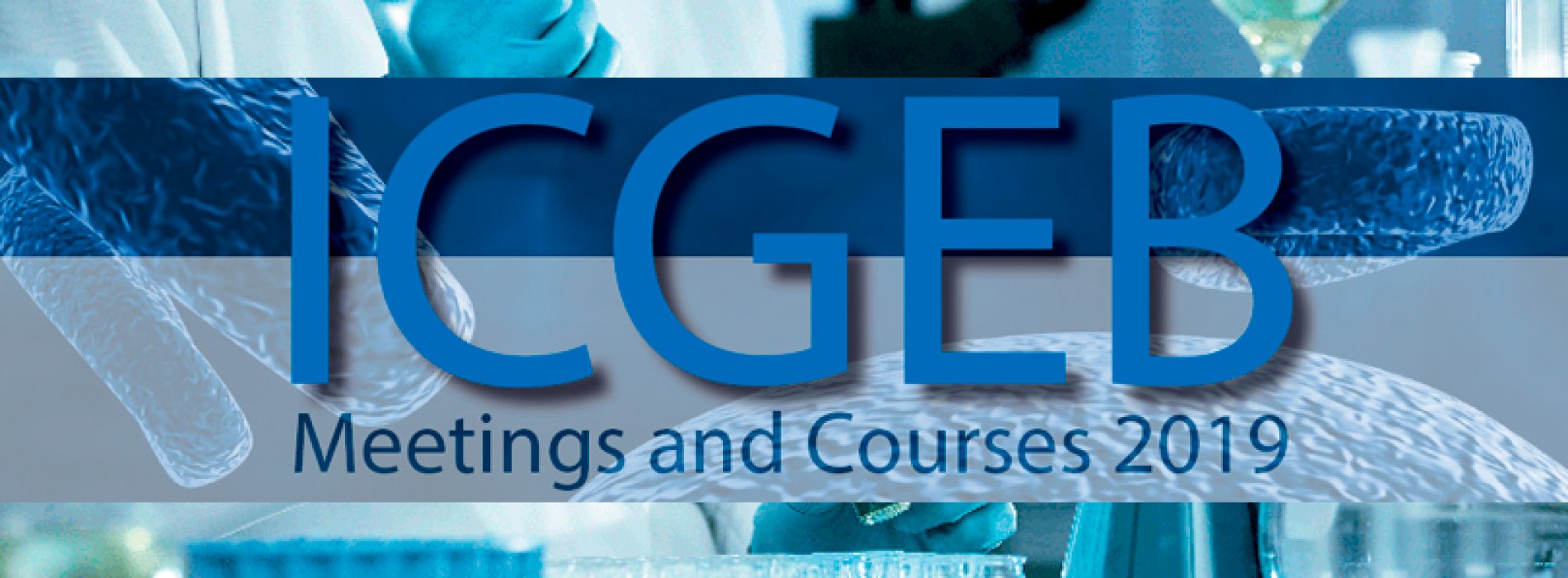 Course»Optics, force & development» 25 March – 5 April 2019