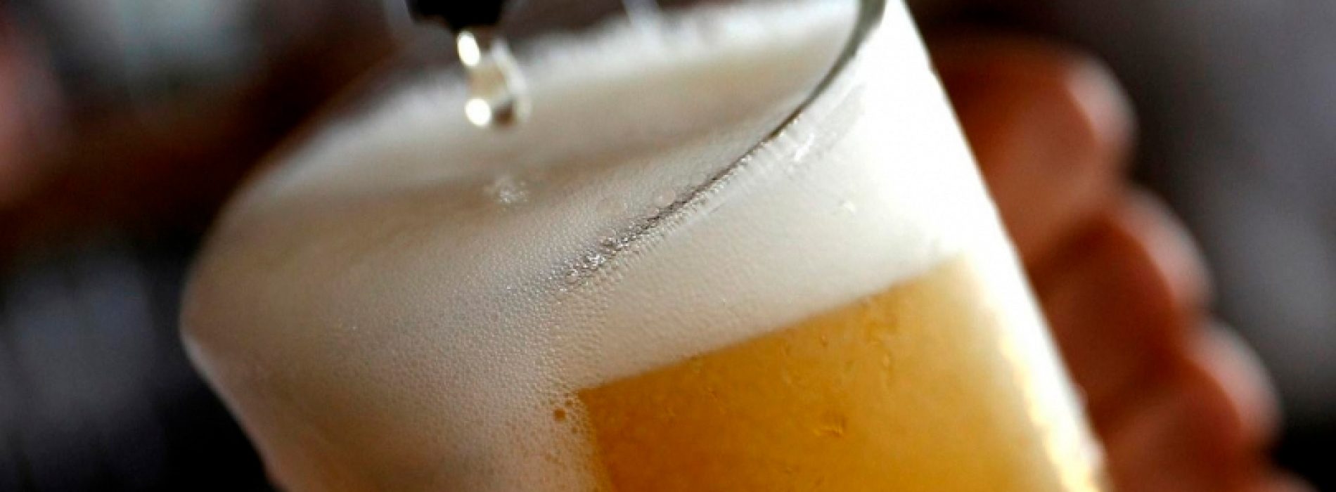 Investigación de la diversidad de levaduras de Chile busca desarrollar cerveza 100% nacional