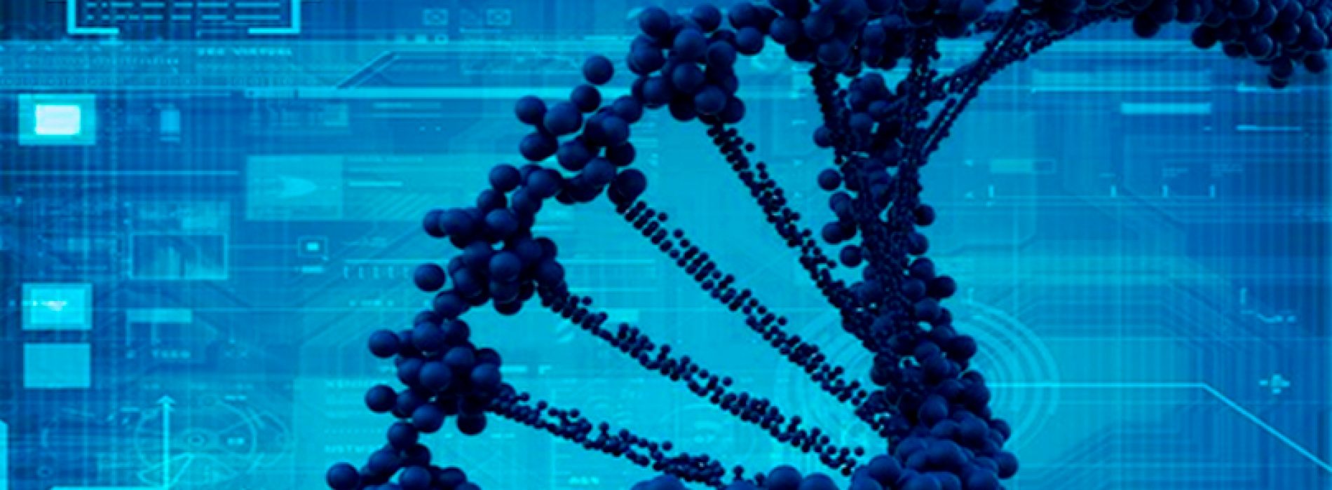 3rd Version bioinformatics workshop