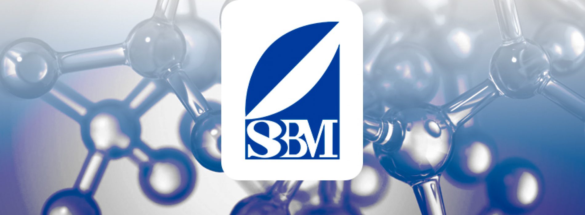 Call to apply for the Organization of symposia for the 2019 of the SBBMCh meeting