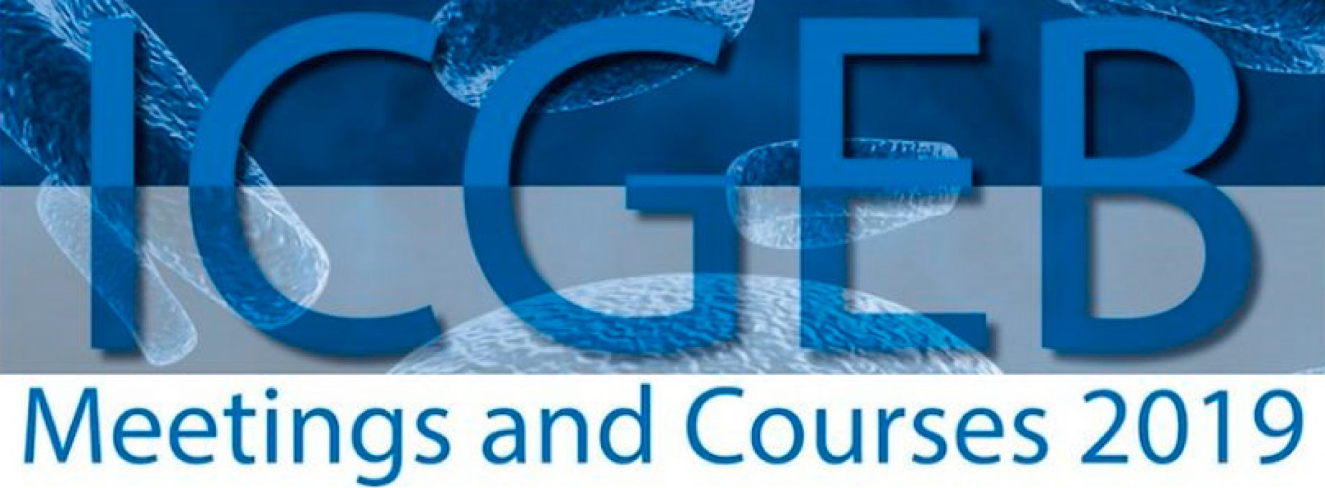 Curso ICGEB- Redox Chemistry and Biology of Thiols