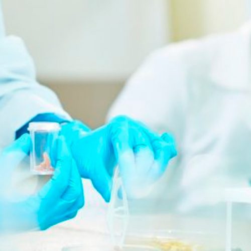 Dos mujeres cientificas, virologas, publicaron en revistas de corriente principal de excelente impacto en un tema tracsendente para Chile.
