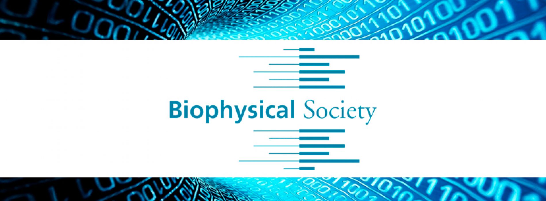 Read the optical tweezers article collection from the Biophysical Journal