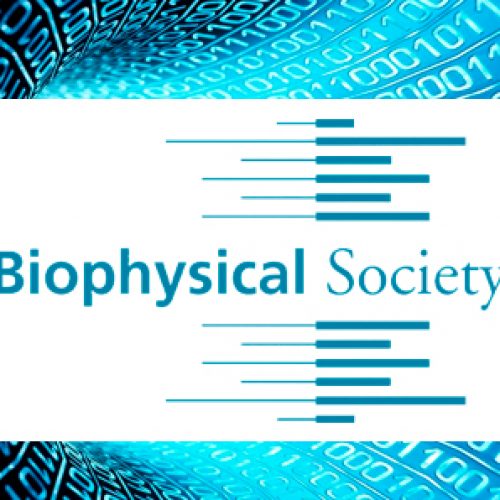 Read the optical tweezers article collection from the Biophysical Journal
