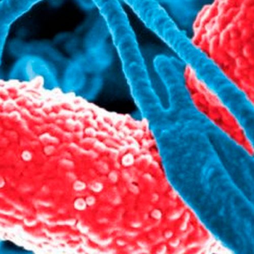 ALL SPEAKERS ANNOUNCED - 11th Annual CEND Symposium
