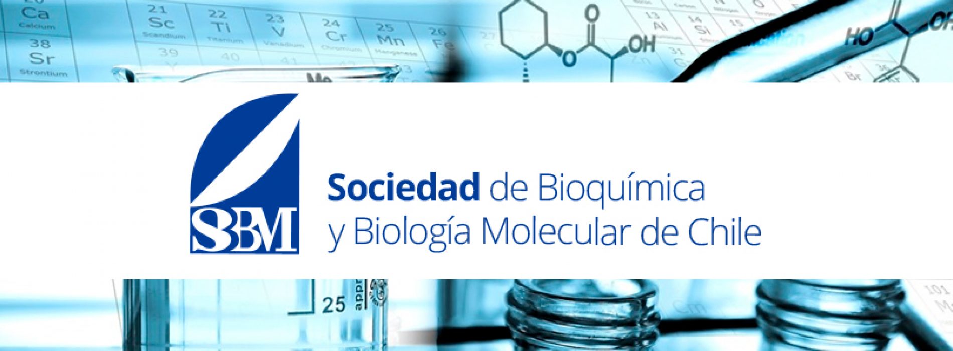 The society for Biochemistry and Molecular Biology welcomes new additions