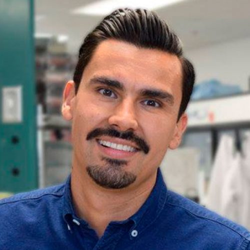 Known links between 2018 main exhibitors: Dr. Alejandro Rojas