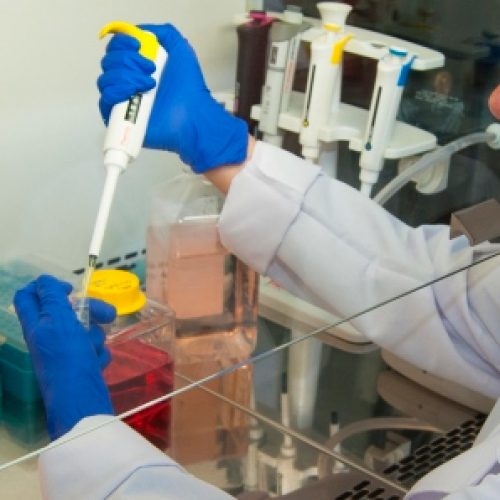 Researcher who created a vaccine against Hanta virus but does not receive financial support: "I thought get help from Farkas or Luksic"