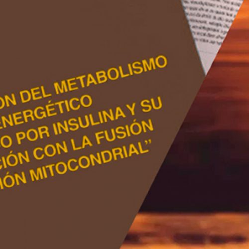 Valentina Parra PhD thesis, review in history