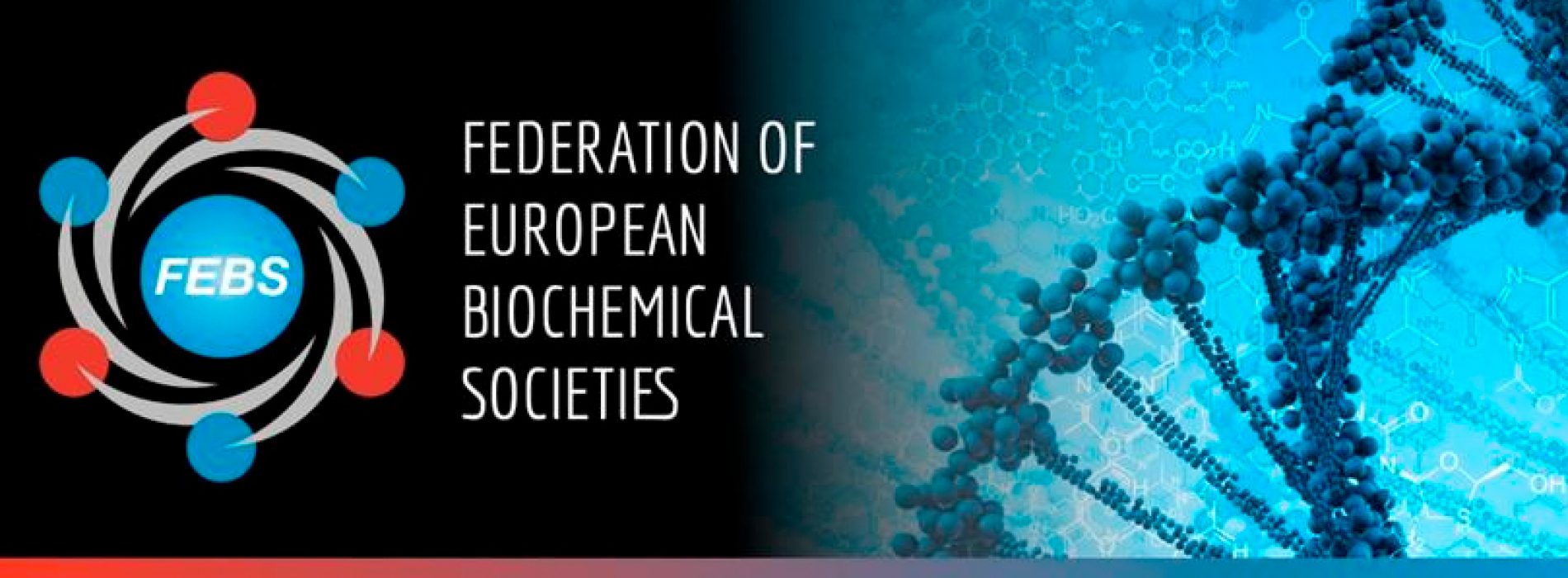 FEBS Newsletter – Noviembre 2018