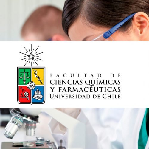 Seminario Mecanismos Moleculares de la Autofagia y su Implicación en Enfermedades Raras