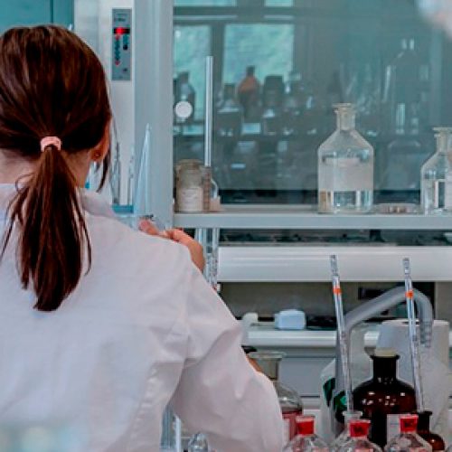 Mujeres en investigación: el desafío del nuevo Ministerio