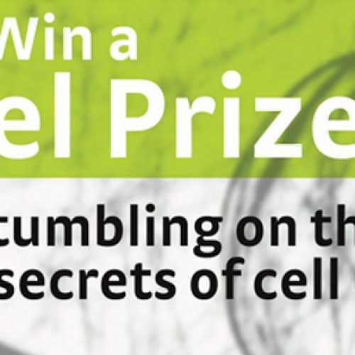 How to win a Nobel Price: Stumbling on the secrets of cell division