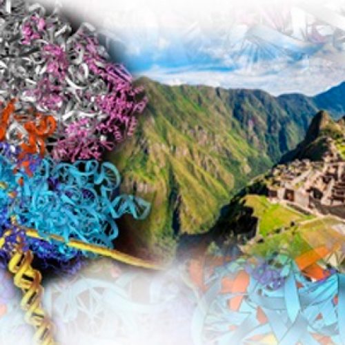 Curso 2019 del Posgrado Latinoamericano de Biofísica