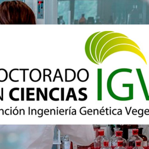Seminario Dra. Maria Ines Barría C. – Universidad de Concepción