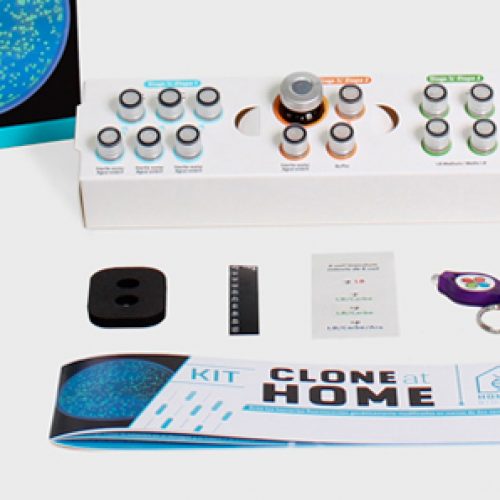 Lanzamiento del primer kit en el mundo que permite modificar bacterias genéticamente en casa