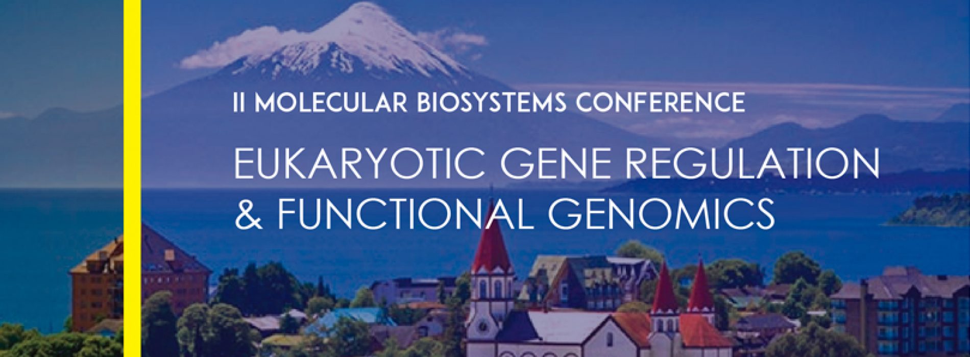 II Molecular Biosystems Conference Eukaryotic Gene Regulation and Functional Genomics