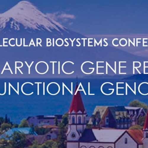 II Molecular Biosystems Conference Eukaryotic Gene Regulation and Functional Genomics