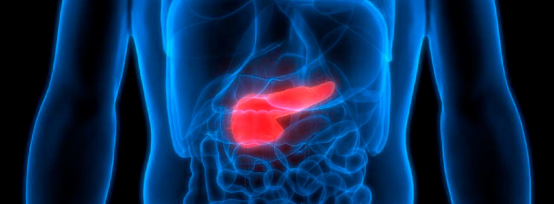 They achieve for the first time the disappearance of pancreatic cancer in mice