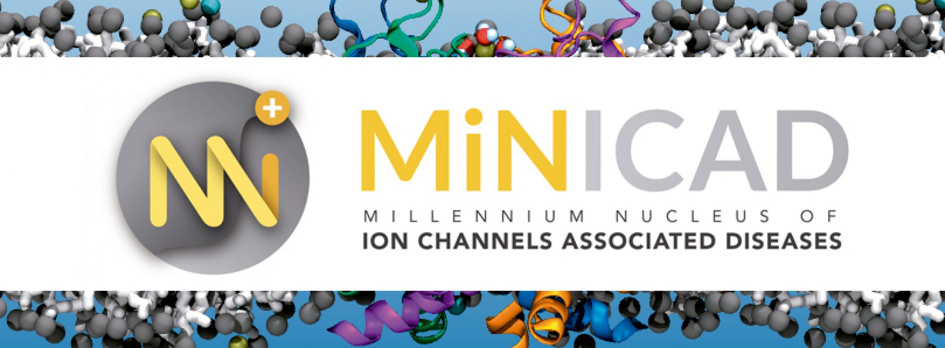 Seminario Minicad «Surprising dynamics of ion transport across sandwich membrane system»