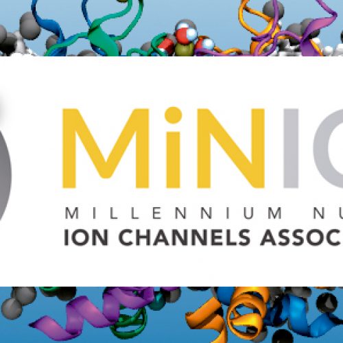 Seminario Minicad «Surprising dynamics of ion transport across sandwich membrane system»