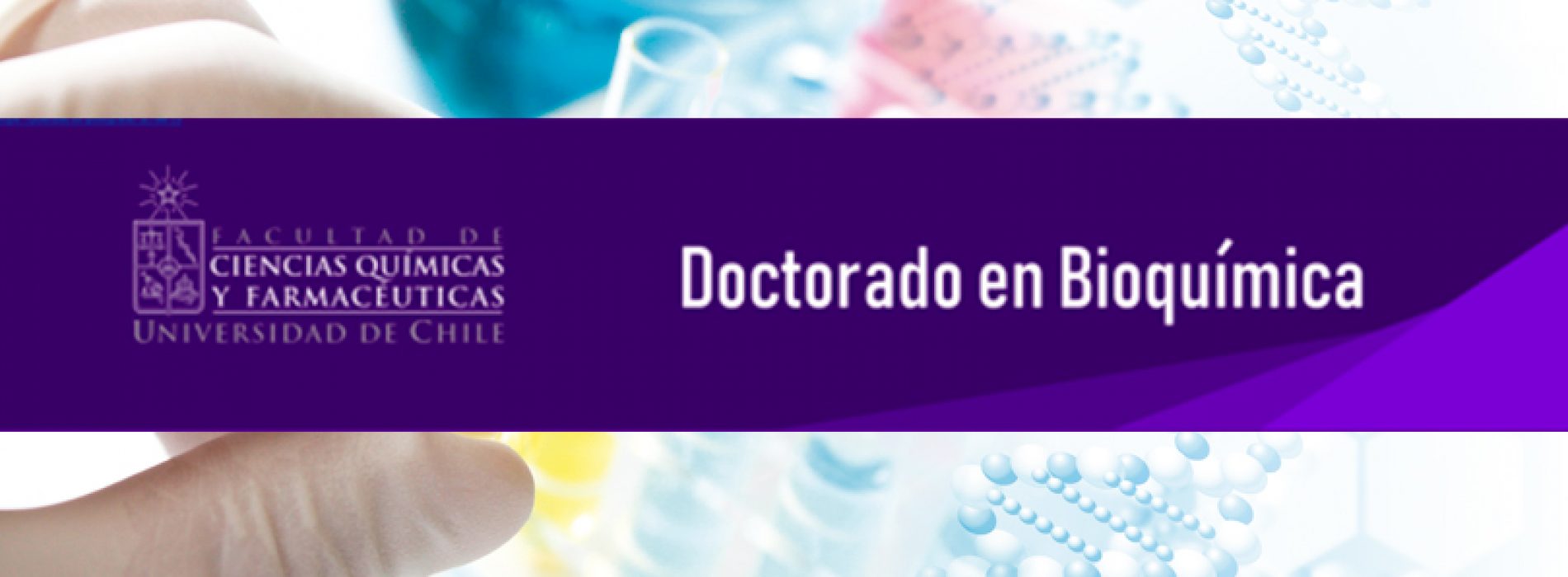PhD in biochemistry - University of Chile