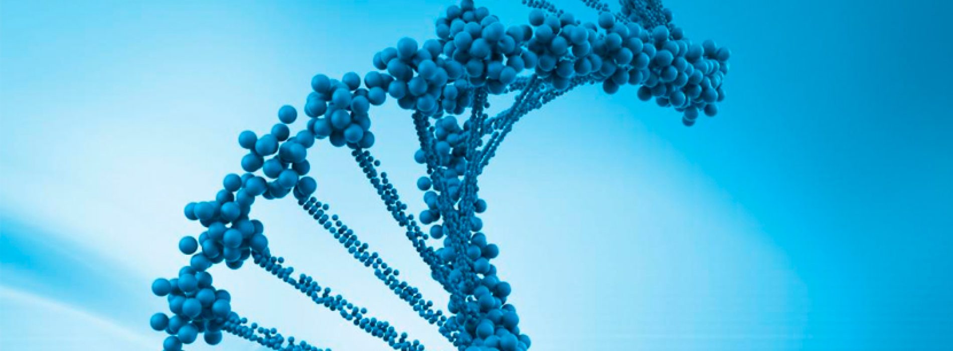 7ma Versión Curso de Bioinformática: Intensivo en R/Bioconducor y Cytoscape