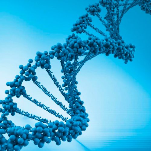 7ma Versión Curso de Bioinformática: Intensivo en R/Bioconducor y Cytoscape