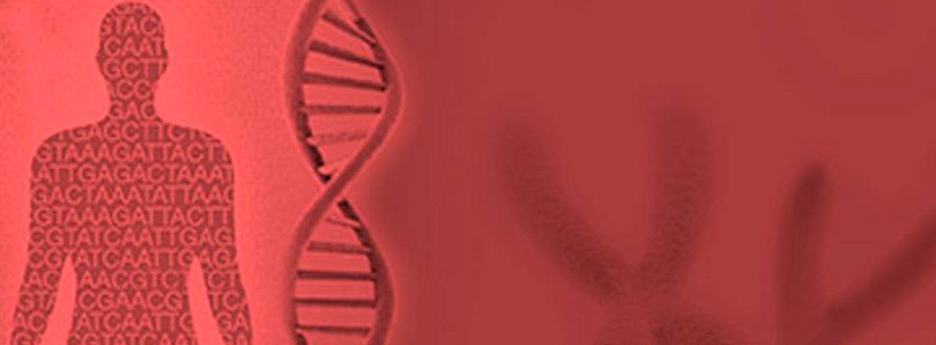 Next Generation Sequencing Bioformatics