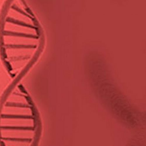 Next Generation Sequencing Bioformatics