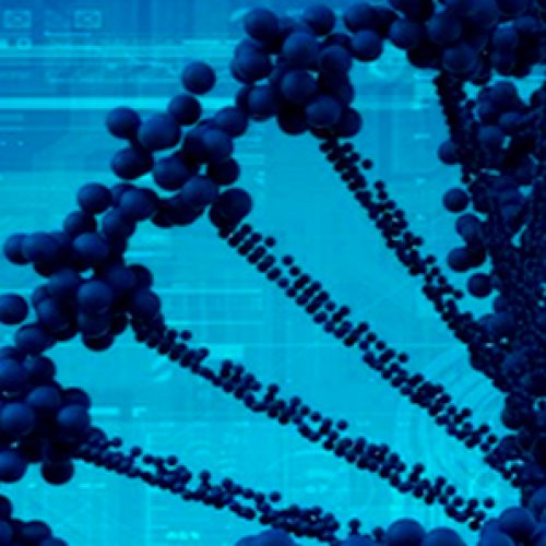 Bioinformatics Course 2019