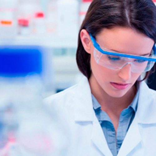 Selection Result – Postdoctoral Scholarship Competition abroad Scholarships Chile, Call 2019