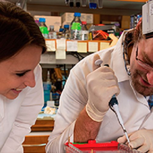 Graduate Program – Ph.D. in Biology