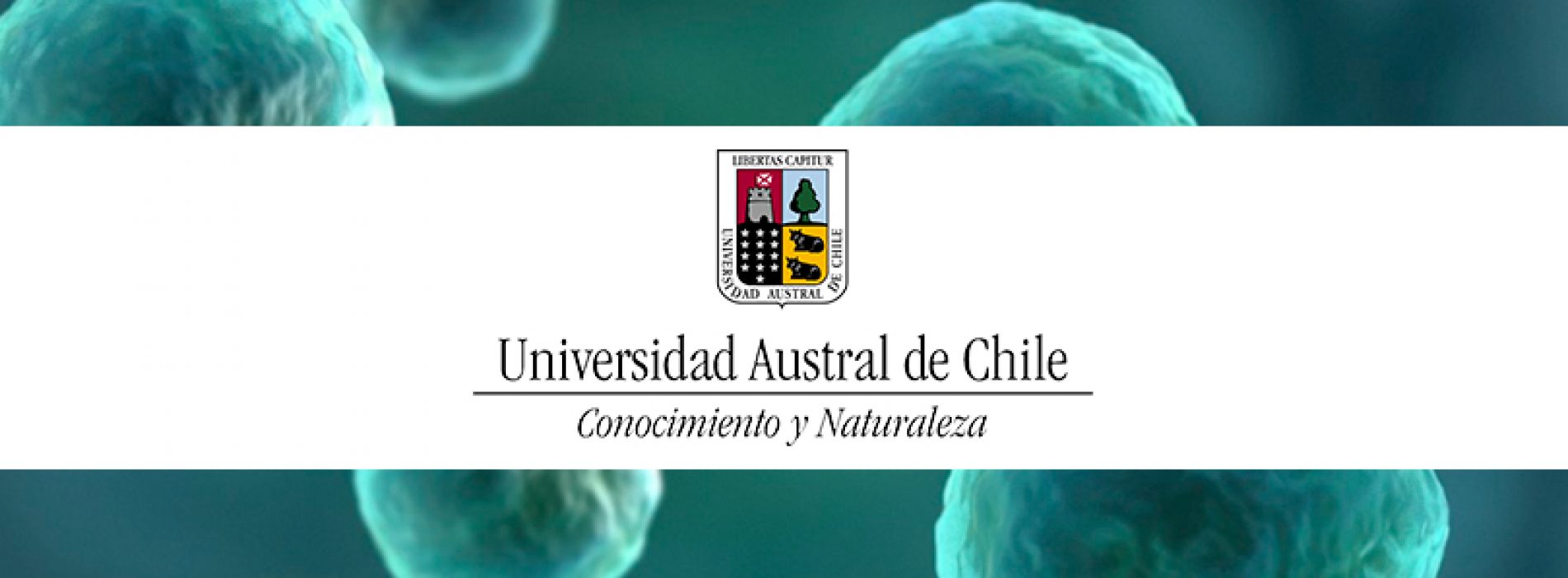 Doctorado en Ciencias, Mención Biología Celular y Molecular – Universidad Austral de Chile