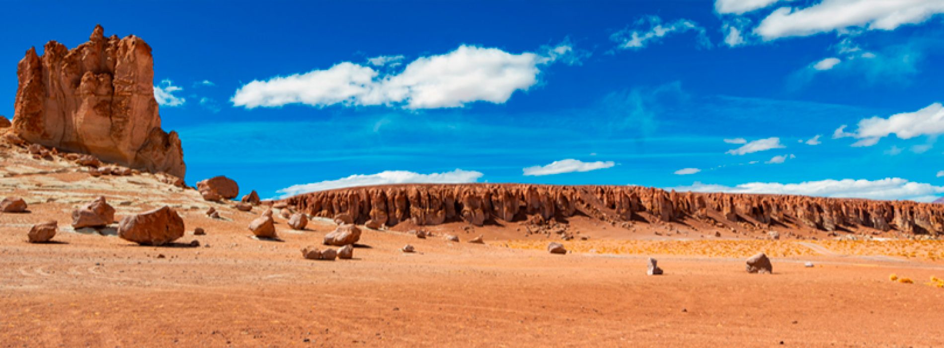 Microbial life in the atacama desert - A martian place
