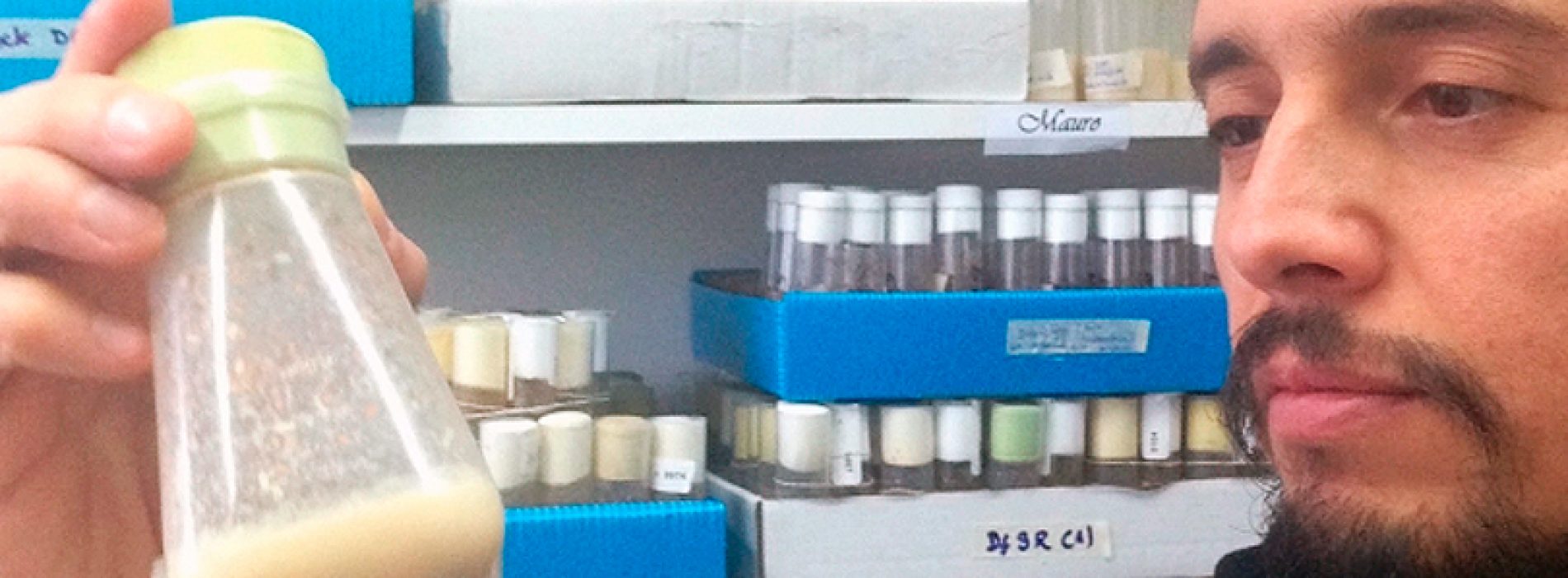 With 2-millimeter flies, they look for genetic causes of Parkinson's in Latin America