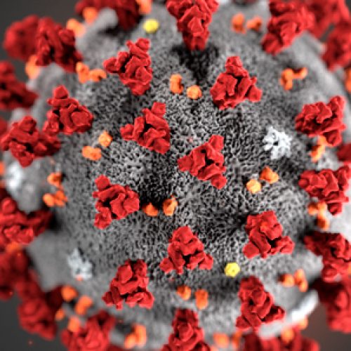 Urgente: Coronavirus y Chile, Sociedades Científicas dispuestas a apoyar!