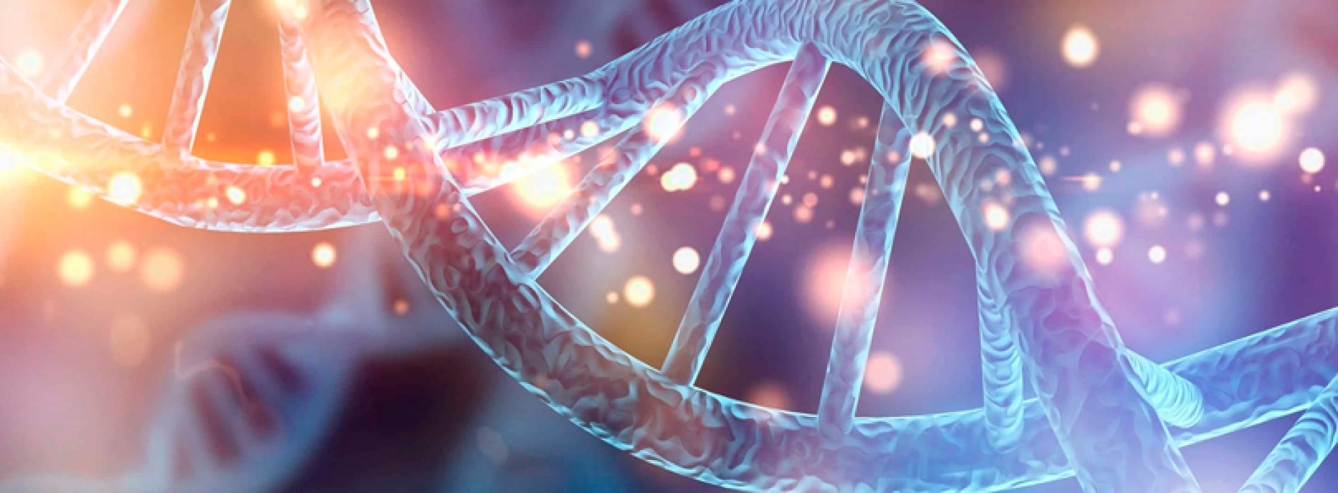 Scientists develop self-replicating genome