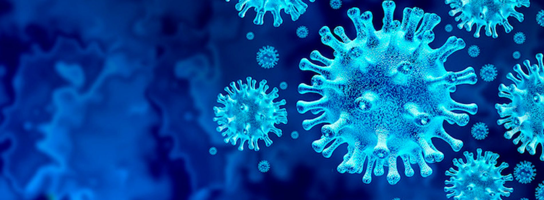 Nuevo Coronavirus es estable por horas sobre superficies