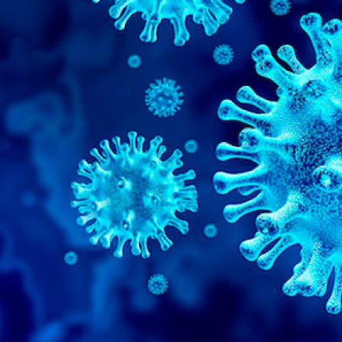 Nuevo Coronavirus es estable por horas sobre superficies