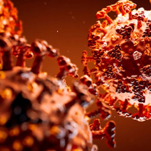 Estudio sugiere que la epidemia COVID-19 tiene un origen natural