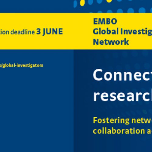 EMBO Global Investigator Network – Applications open!