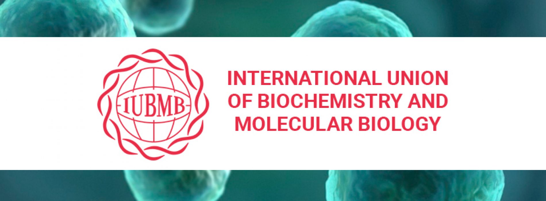 International Union of Biochemistry and Molecular Biology (IUBMB)