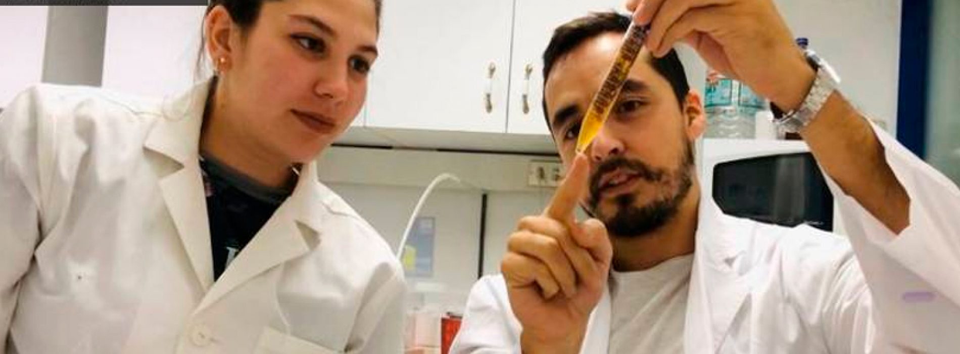 Especialista en genética de levaduras explica cómo se pasa de cerveza a alcohol gel