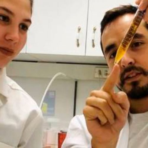 Especialista en genética de levaduras explica cómo se pasa de cerveza a alcohol gel