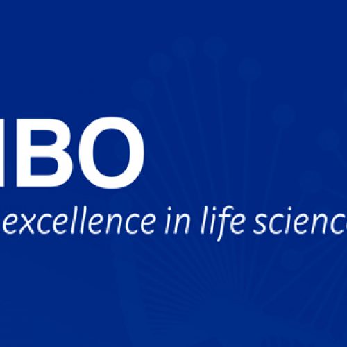 EMBO funding opportunities for life scientists in Chile