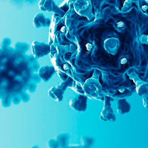 Extractos de algas supera al remdesivir en el bloqueo del virus COVID-19 en estudio celular